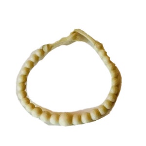 以下が含まれることがあります： シンプルなデザインのクリーム色のビーズネックレス。ネックレスは、細い紐に小さな丸いビーズが通されています。