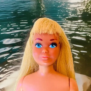 Tnt Skipper - Etsy