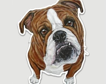 Bulldog Sticker, Bulldog Decal, English Bulldog Sticker, Bulldog Art, Vinyl Decal, Bull Dog, Water Bottle Sticker, Waterproof Sticker