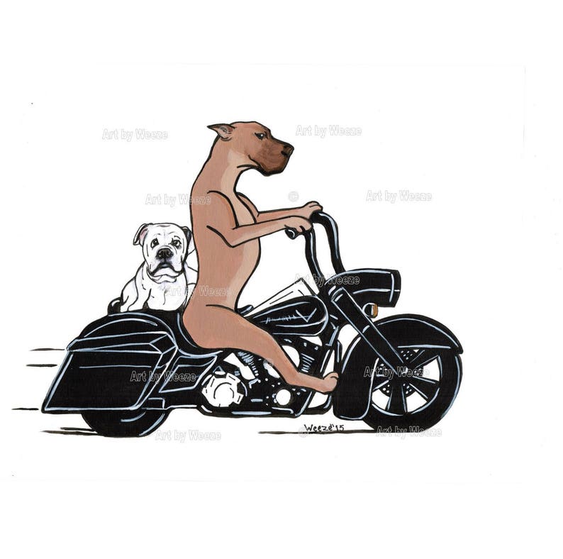Motorcycle Your Pet Riding Motorcycle Caricature Custom Pet Portrait Pet Portrait Motorcycle Art Harley Davidson Pet Cartoon