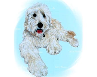 May include: A white dog with brown eyes and a black nose is lying down on a light blue background. The dog has its tongue sticking out and is looking at the camera.