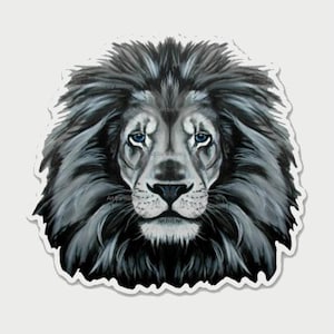 May include: A close-up of a black and white lion's face with blue eyes. The lion has a thick mane of black fur.