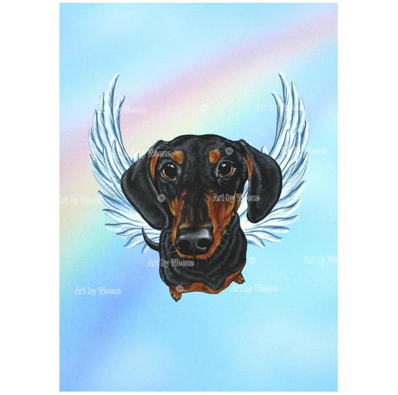 dachshund angel