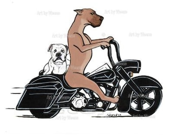 Great Dane, Bulldog, Dogs On Motorcycle, Motorcycle Art, Biker Dogs, Biker Art, Bulldog Art, Pet Portrait, Cartoon Dogs, Cute Dog Art
