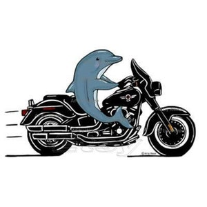 Dolphin Riding A Motorcycle, Dolphin Art, Porpoise Cartoon Art, Motorcycle Art, Biker Art, Dolphinfish Wall Art
