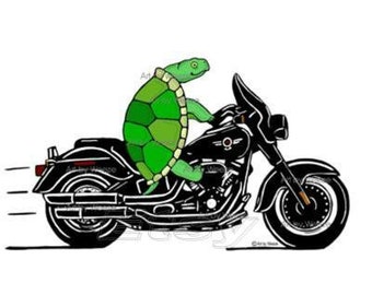 Turtle Riding A Motorcycle, Tortoise Art, Turtle Cartoon, Motorcycle Art, Biker Art, Turtle Wall Art, Green Turtle, Painted Turtle
