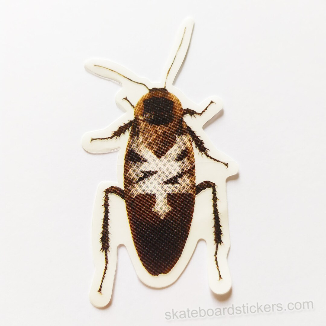 Zoo York Cockroach Skateboard Sticker - Official - Etsy Canada