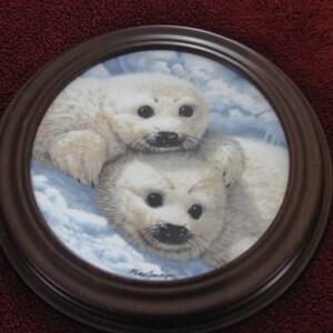 1990 &quot;BABY SEALS&quot; COLLECTORS Plate By Mike Jackson In Van Hygen & Smythe Wooden Plate Holder 8 1/2&quot; Plate 11 1/2&quot; Holder