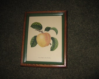 ANTIQUE PEAR PRINT "Pomme Bedford's Hire Foundling In Original Worm Wood Antique Frame 11 1/2" x 14 1/2" Green Wood Inner Border