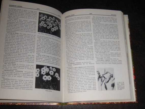 ENCYCLOPEDIA of GARDENING（ガーデニングの百科事典） ENCYCLOPEDIA OF GARDEN PLANTS