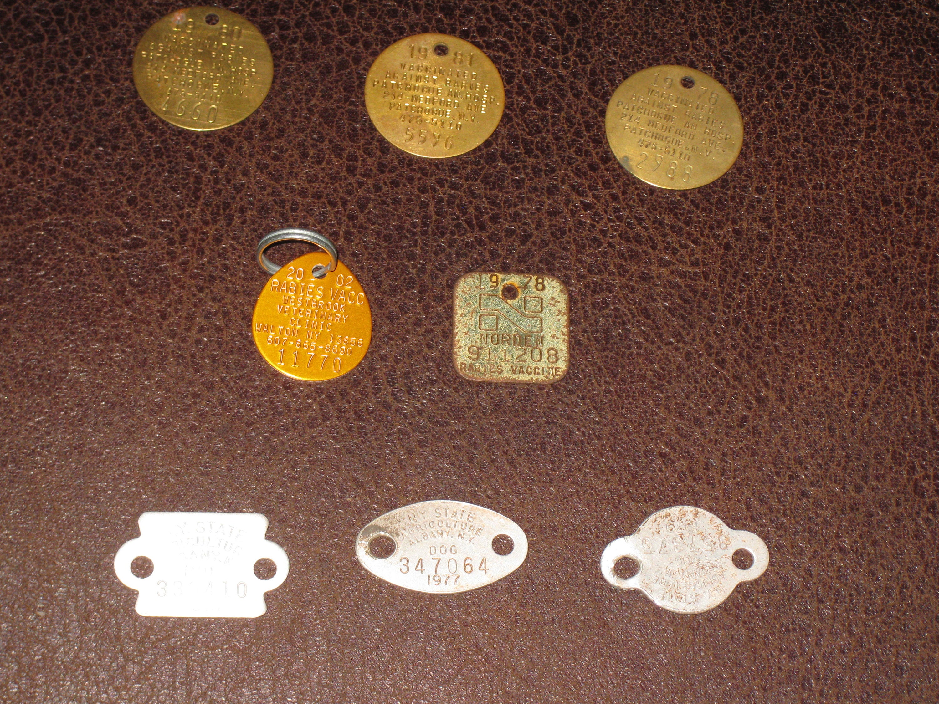 VINTAGE DOG License/rabies Metal Tags Eight From Various