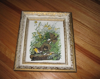 MEADOW LARK vintage Print In Mid Century Gold And White Wood Frame With Decorative Raised Edge 13 1/2"x 11 1/2 » Cadeau pour ornithologue