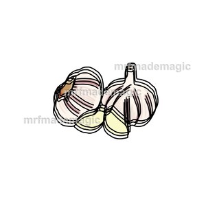 Garlic Bulb Digital Print