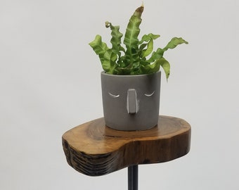 Side Table- End Table- Plant Stand- Live Edge- Steel Base- Black Walnut- Tree Slice- Drink Stand- Modern- Cool- Nature- Living Room- Home