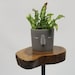 see more listings in the Plant Stands/ End Tables section