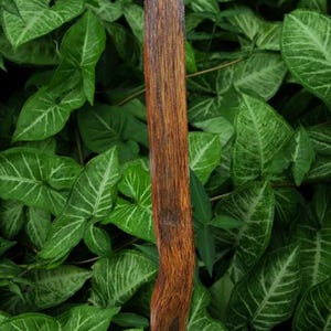 Reclaimed Tobacco Stick Walking Stick: Handmade White Oak Hiking Staff