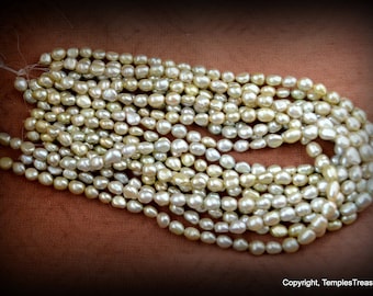 Pale Hint of Lemon Fresh Water Pearl Strand/Iridescent Pearl Strand/16 inch pale silver pearl strand/pearl beading supplies/wedding supplies