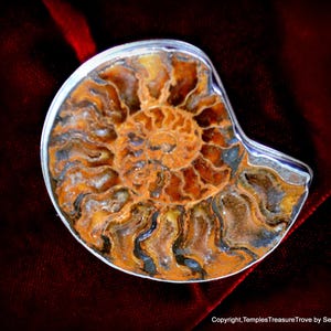 Ammonite and sterling pendant ~ Fibonacci Spiral Pendant ~ Fossilized Nautilus Shell Pendant ~ Sacred Geometry Pendant ~ Unisex Pendant
