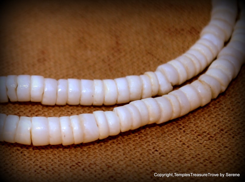 Puka Shell Choker~Hawaiian Puka Shell Choker~ Circa 1970/'s Puka Shell Choker~Boho Chic Choker~Beach Bum Choker~Classic Unisex Surfer Jewelry