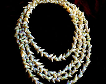 Collar de concha Mairineer de Tasmania de 72" RARO ~ Collar de concha Mairineer aborigen de Tasmania ~ Collar de concha iridiscente ~ Joyas de sirena para ella