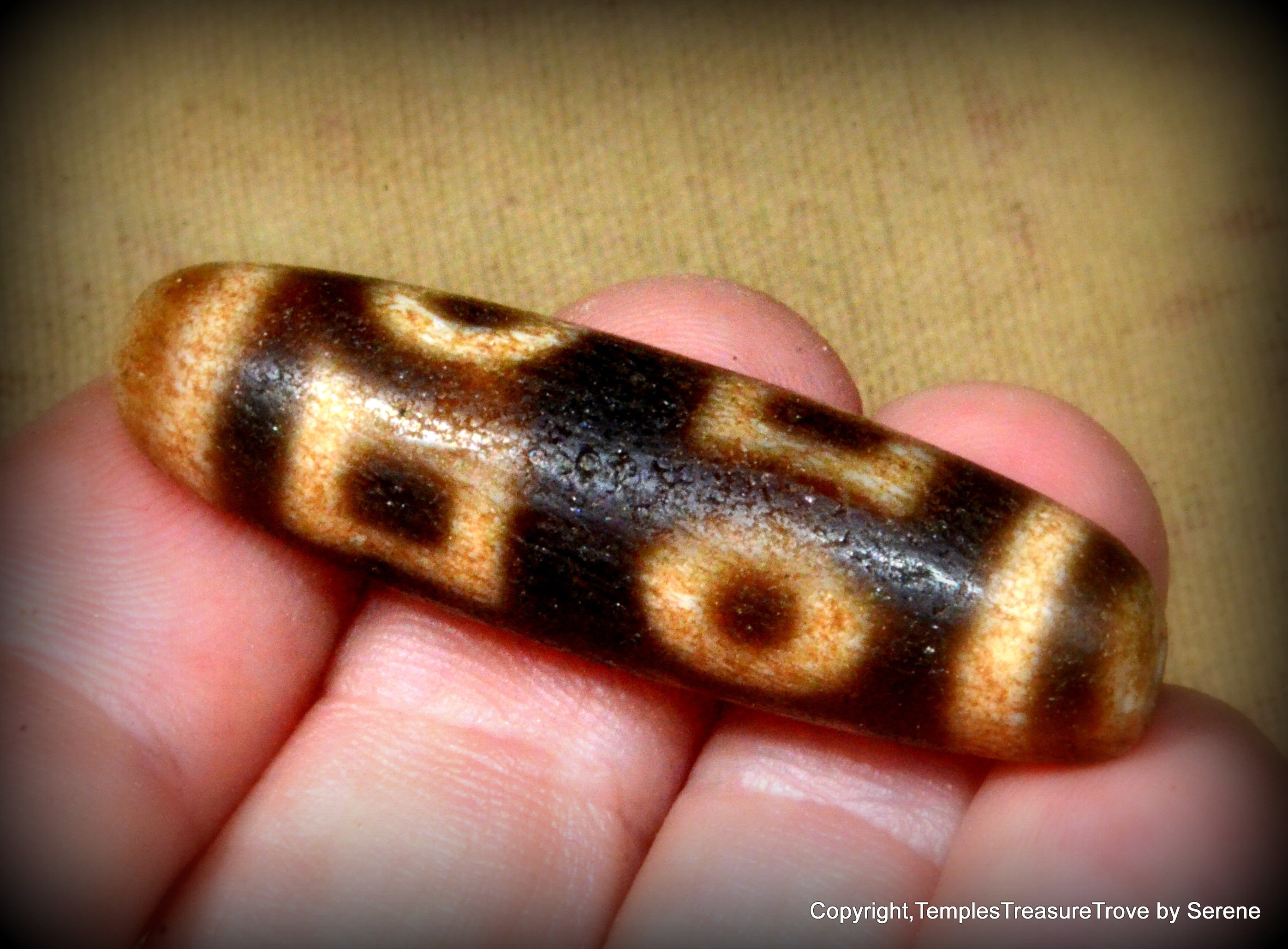 Tibetan Dzi Agate Bead Heaven and Earth Dzi~all Things Auspicious