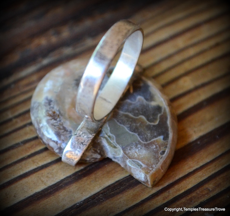 Ammonite and sterling ring size 6 ~ Fibonacci Spiral Ring ~ Fossilized Nautilus Shell Ring ~ Sacred Geometry Sterling Ring ~ Unisex Ring