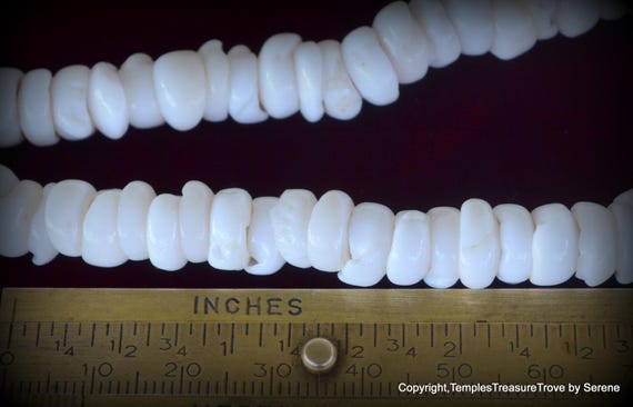 Classic Hawaiian Puka Shell Choker~ Circa 1970's … - image 4