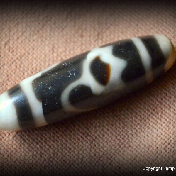 Old Tibetan Sacred Lotus Bead Deep Brown and Beige Sacred Dzi Bead/Enlightenment Dzi Bead/Purification Talisman Dzi Bead  Sourced from Tibet