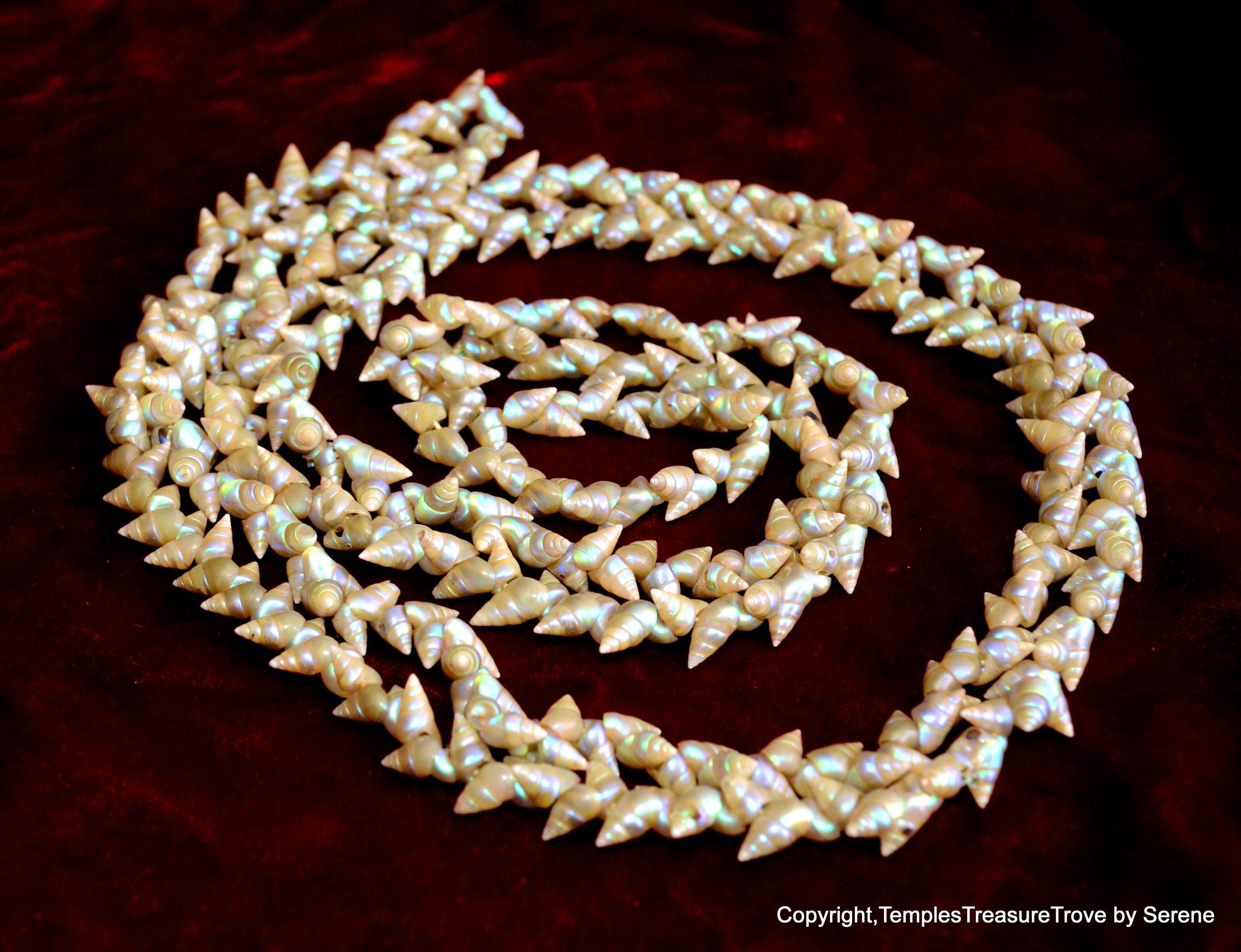 Aboriginal Shell 72