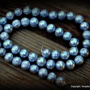May include: A strand of blue freshwater pearls, strung together on a white cord. The pearls are round and have a smooth, iridescent finish.
