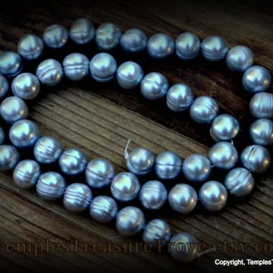 May include: A strand of blue freshwater pearls, strung together on a white cord. The pearls are round and have a smooth, iridescent finish.