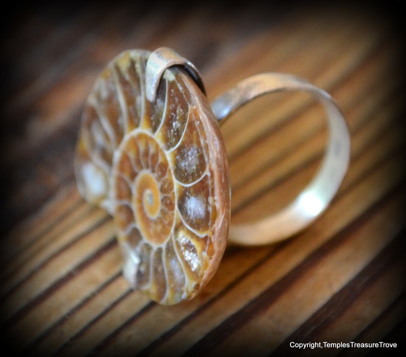 Ammonite and sterling ring size 6 ~ Fibonacci Spiral Ring ~ Fossilized Nautilus Shell Ring ~ Sacred Geometry Sterling Ring ~ Unisex Ring