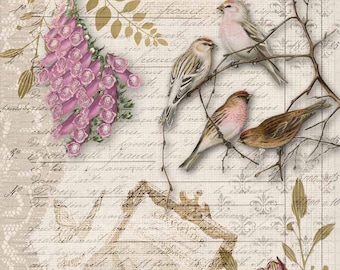 Decoupage Queen Birds and Orchids A4 Rice Paper for DIY Projects, Scrapbooking, Art Journals, Mixed Media, Collage.