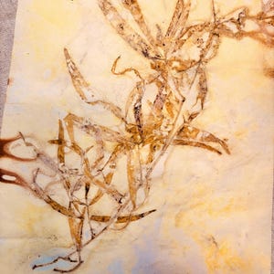 May include: A botanical print featuring a detailed impression of plant matter. The artwork showcases a delicate arrangement of dried leaves and stems in shades of brown and tan against a pale yellow and blue background, creating a vintage aesthetic.