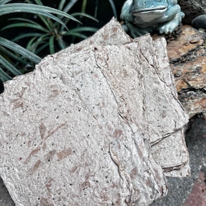 May include: A stack of handmade paper sheets with a rough, textured surface. The paper is a light brown color with darker brown flecks throughout. The paper is stacked on top of a piece of wood with a green frog figurine on top.