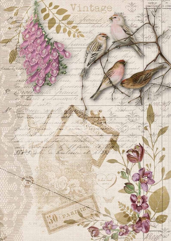 Decoupage Queen Birds and Orchids A4 Rice Paper for DIY - Etsy