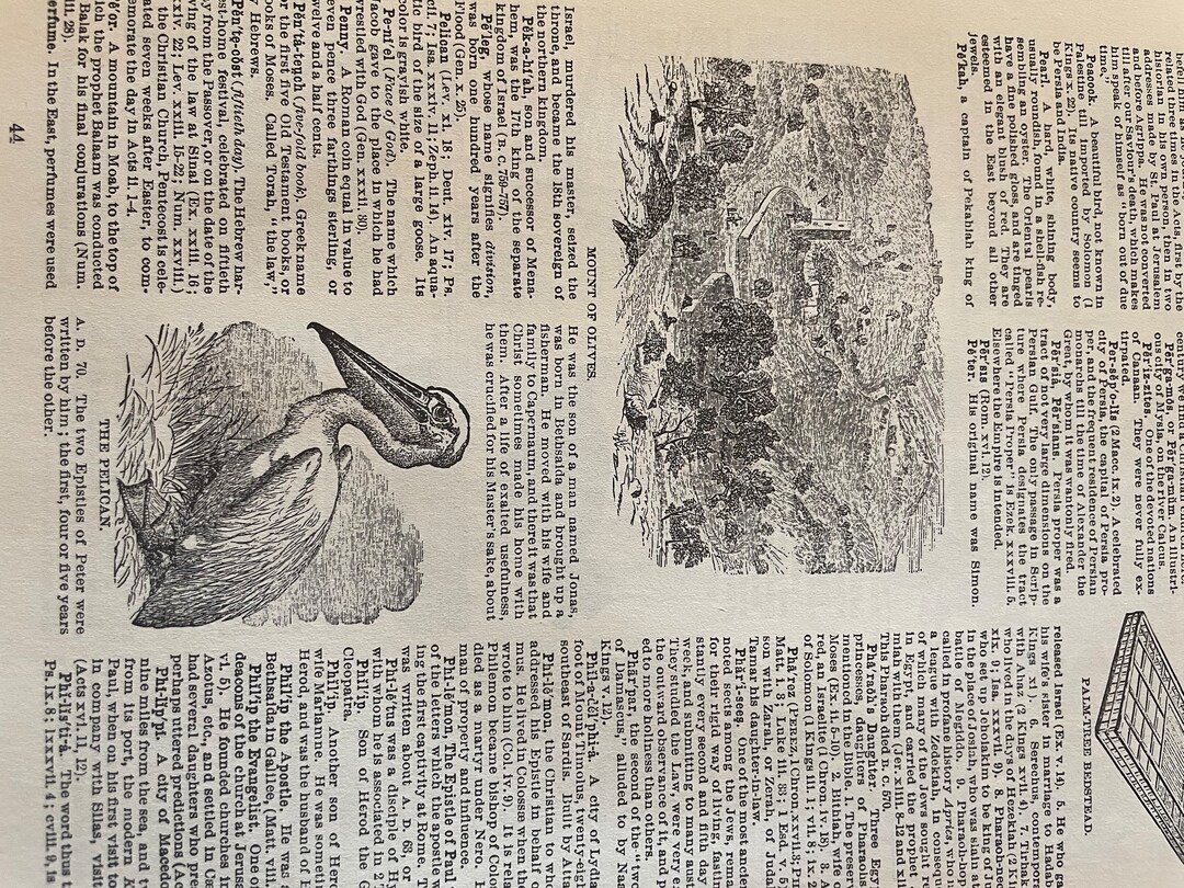 Junk Journal Decoupage Bible Dictionary Pages Bible Text Etsy