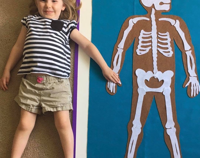 Human Body Felt Wall // Montessori Learning // Kids ages 3, 4, 5, 6, 7 // birthday girl boy gift toy // Felt Mat Board
