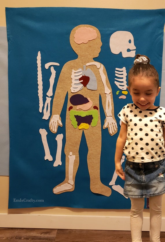 Human Body Felt Wall // Montessori Learning // Kids ages 3, 4, 5, 6, 7 // birthday girl boy gift toy // Felt Mat Board