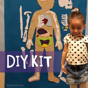 DIY Kit for Body Felt Board // Kids Felt Wall - Montessori // Human Body Anatomy Girl Boy Gift //  Kids Gift Age 3 4 5 6 7