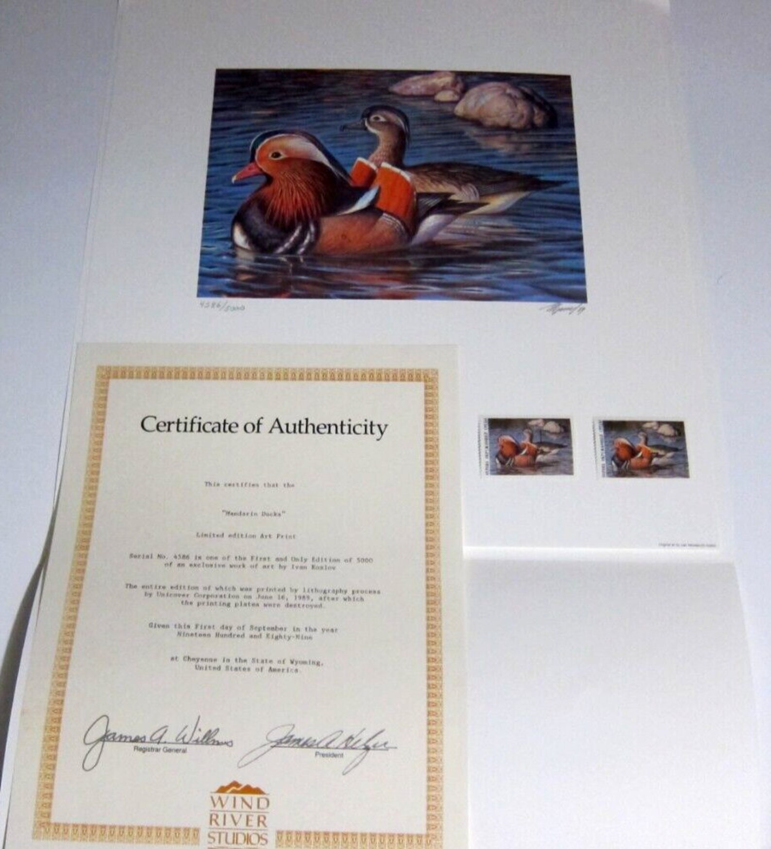 Mandarin Ducks by Ivan Koslov 1989 USSR Duck Stamp Print Historic first