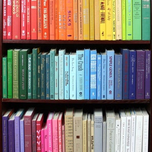 Decorator Books by the Foot - Choose Your Color Scheme - Gently Used Books by Color