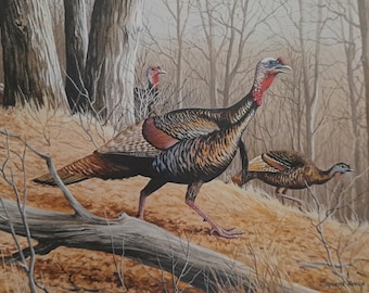 Wooded Seclusion - Turkeys by Maynard Reece - Wild Turkey Stamp