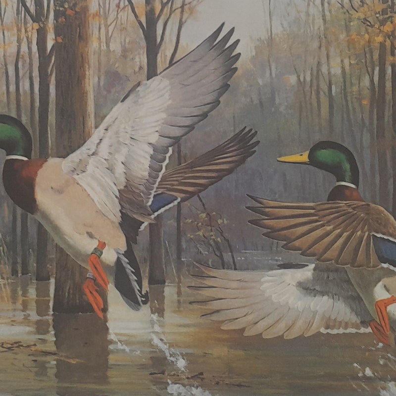 Maynard Reece Print Values Arkansas Lithograph - Etsy