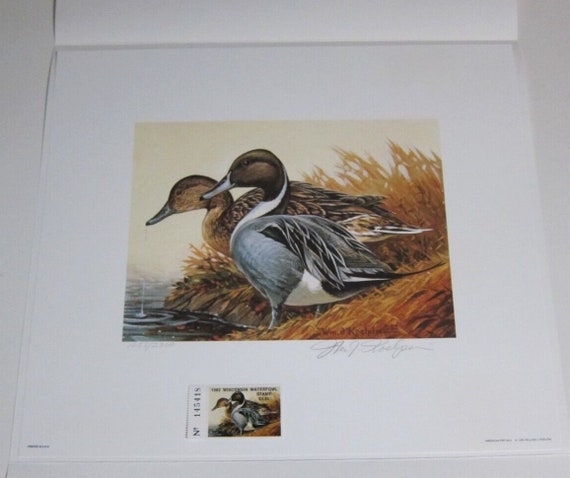 American Pintails by William J. Koelpin - 1982 Wisconsin