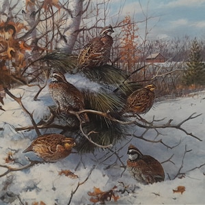 Bobwhite -Winter Day by Owen J. Gromme - International Quail Foundation - 1983 Research Stamp Print - Signed and Numbered