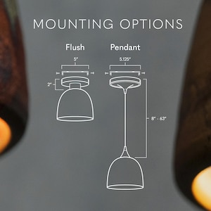 May include: A diagram showing MOUNTING OPTIONS for a light fixture, featuring Flush and Pendant styles. The Flush mount has a 5-inch diameter and 2-inch height. The Pendant mount has a 5.125-inch diameter and an adjustable length of 8 to 63 inches.