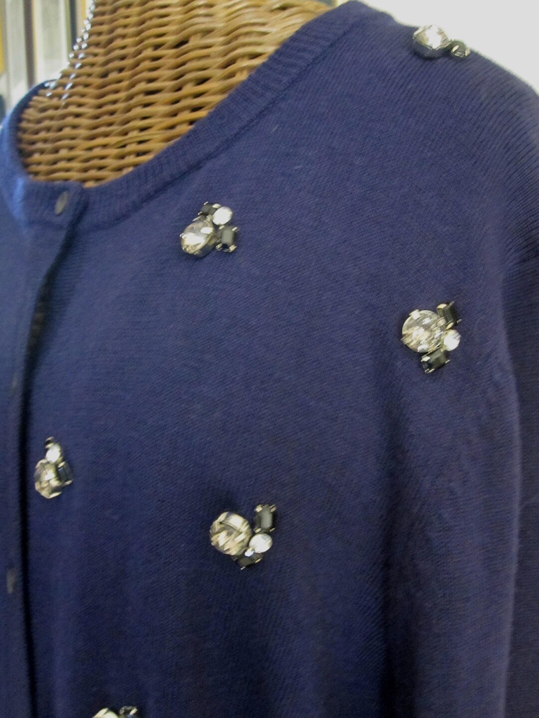 Navy Insect Navy INSECT SWEATER Ann Taylor NWT Size L - Etsy