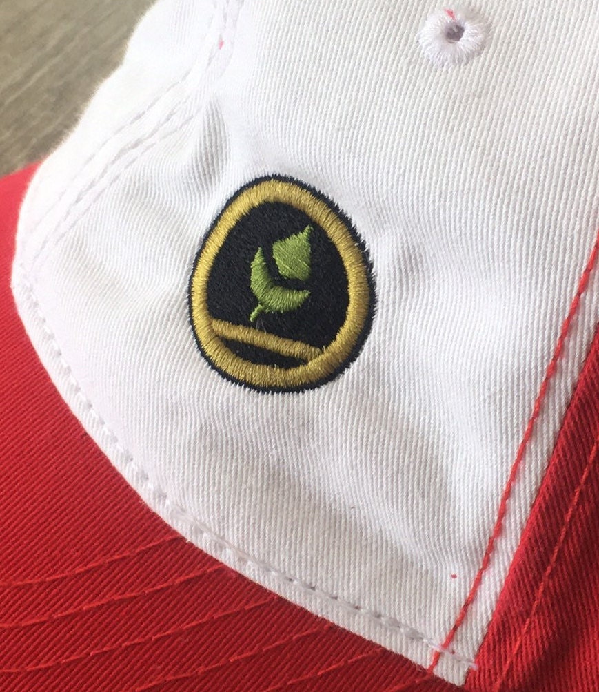 POKEMON Trainer RED Hat Costume Cosplay Anime Etsy