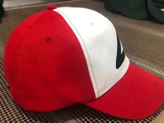 Pokemon new era cap sale
